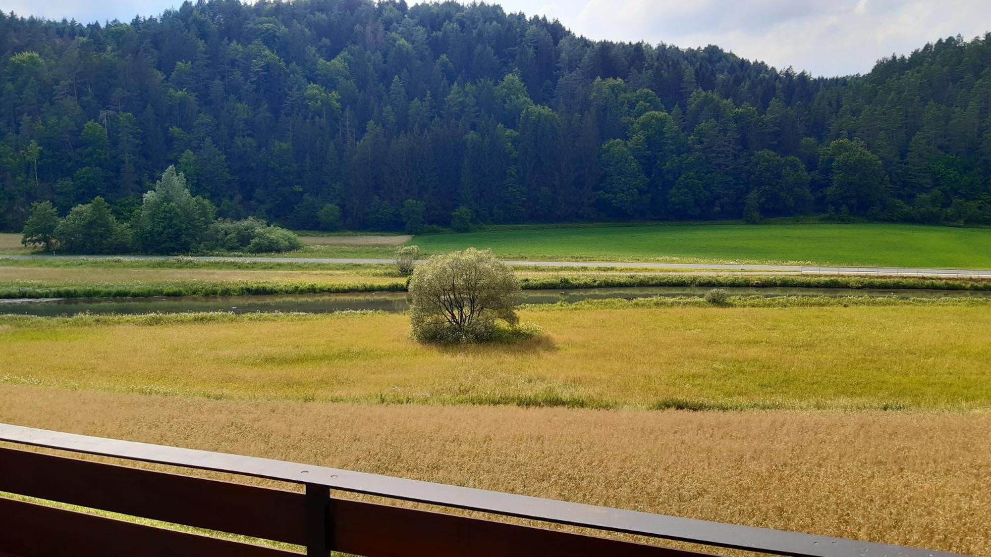 Waldpension Rabeneck Waischenfeld Exteriör bild