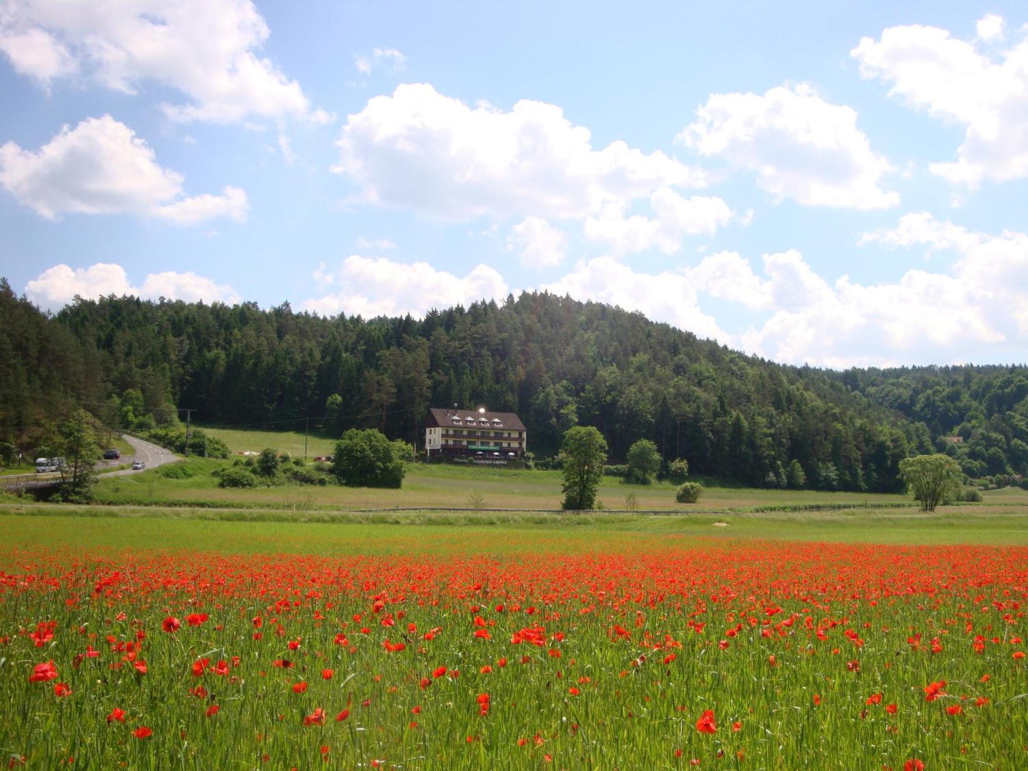 Waldpension Rabeneck Waischenfeld Exteriör bild